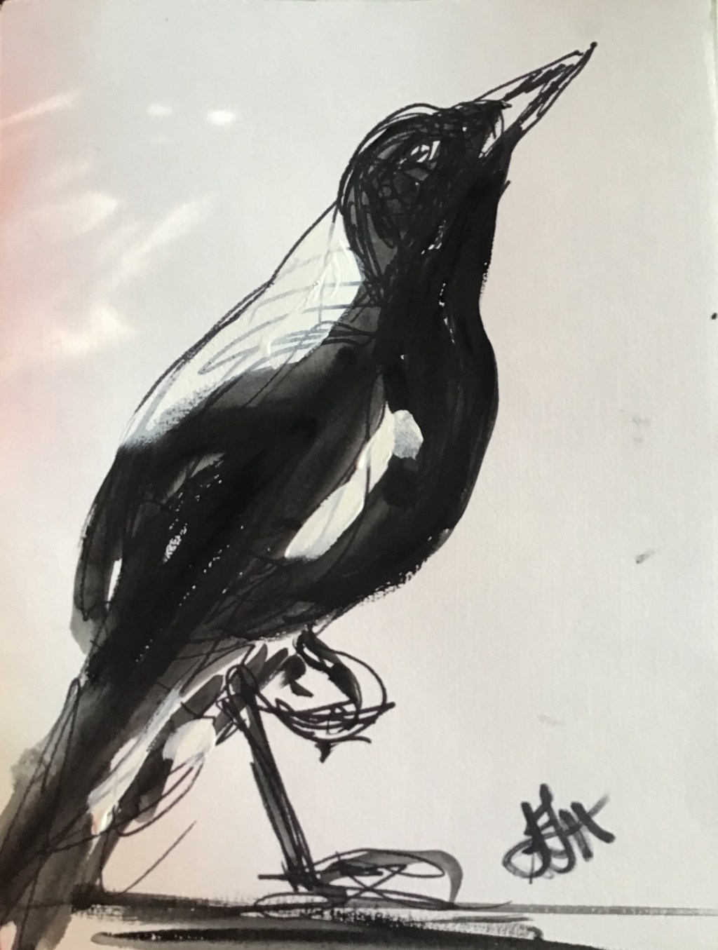 Mr Plod the&nbsp;Magpie