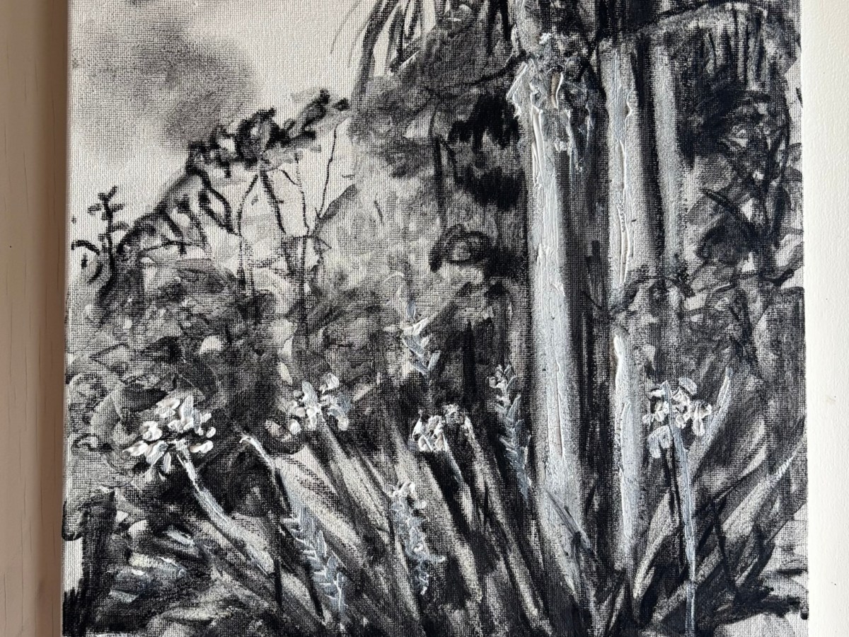 Bush Garden series of 3 in black and&nbsp;white